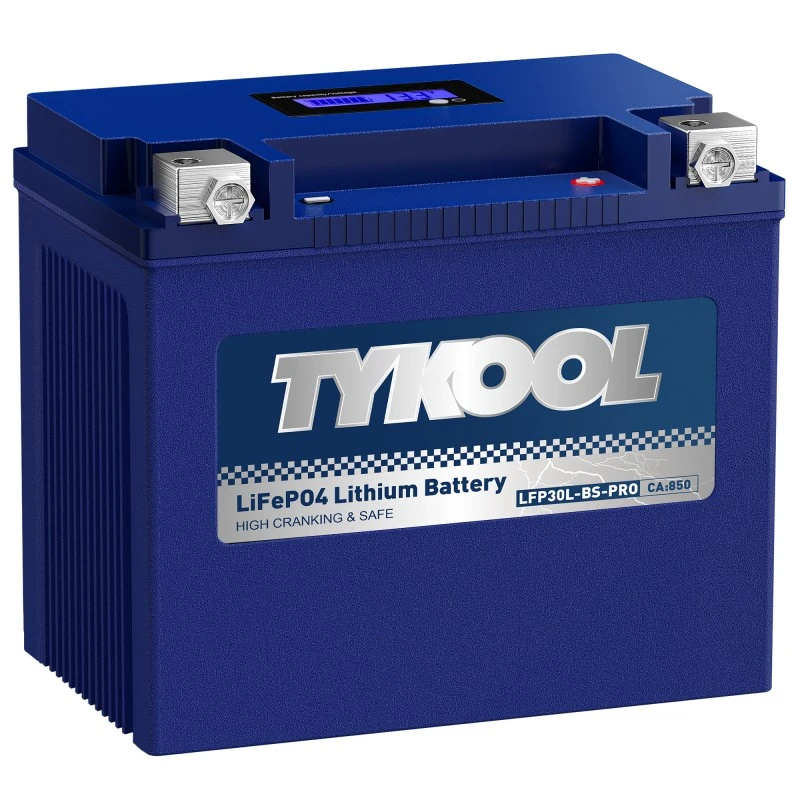 TYKOOL 2 Pack YTX30L-BS-PRO 18Ah 800CCA UTV Snowmobile Harley Davidson LiFePO4 Battery