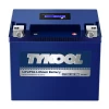 TYKOOL YTX30L-BS-PRO 18Ah 800CCA Long-life Lithium Powersports UTV Jetski Battery