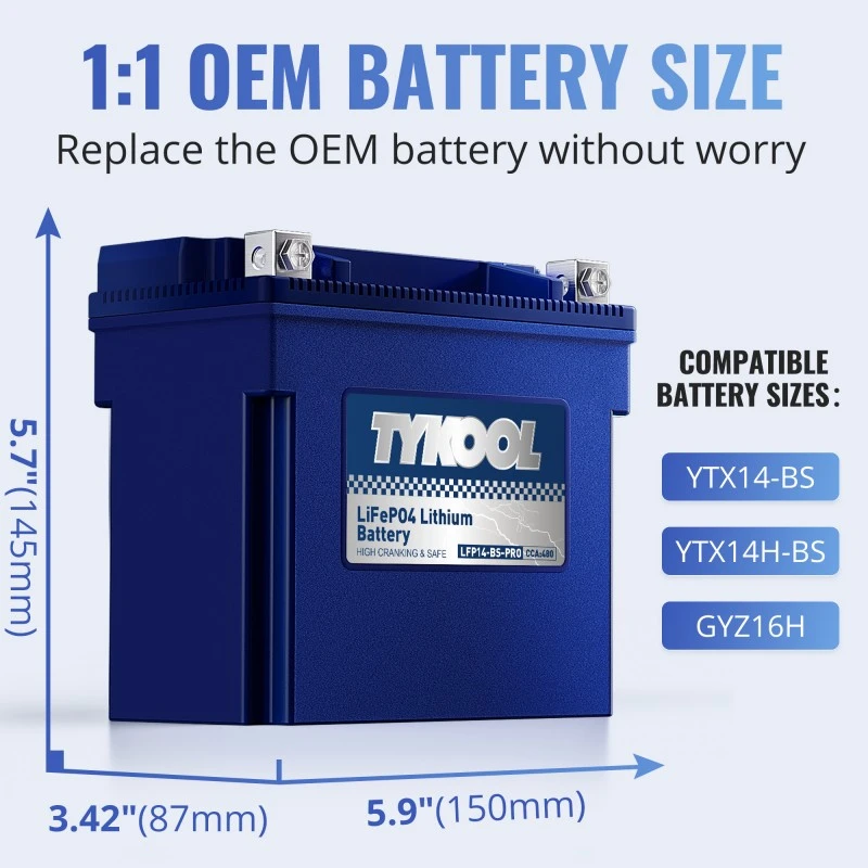 TYKOOL 2 Pack YTX14-BS-PRO 8Ah 480A LiFePO4 Battery for Snowmobile,Motorcycle, ATV, UTV, Scooter