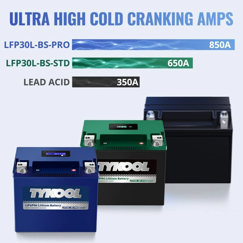 TYKOOL 2 Pack YTX30L-BS-PRO 18Ah 800CCA UTV Snowmobile Harley Davidson LiFePO4 Battery