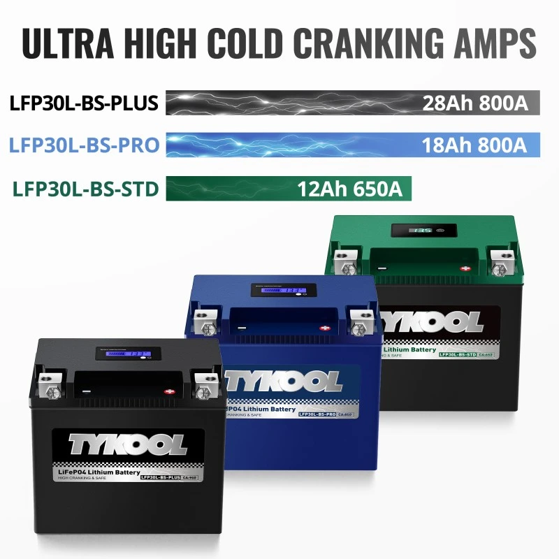 TYKOOL LFP30L-BS-PLUS 800CCA 28Ah Motorcycle UTV ATV PWC Lithium Battery