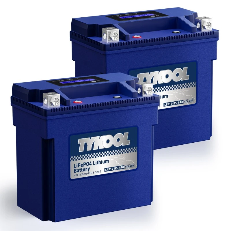 TYKOOL 2 Pack YTX14-BS-PRO 8Ah 480A LiFePO4 Battery for Snowmobile, Motorcycle,  ATV, UTV, Scooter