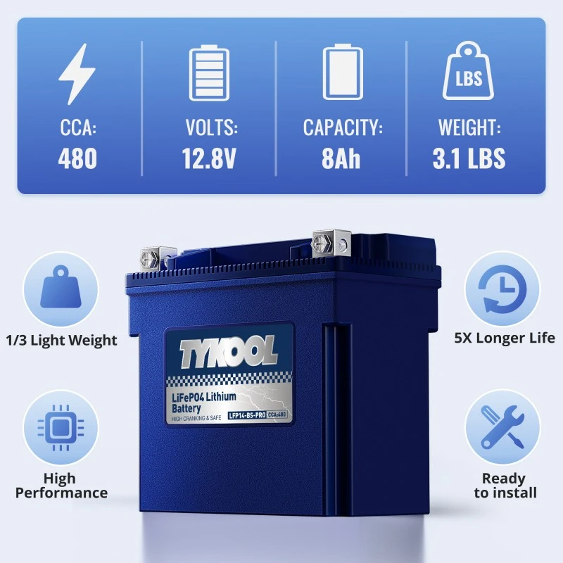 TYKOOL 2 Pack YTX14-BS-PRO 8Ah 480A LiFePO4 Battery for Snowmobile,Motorcycle, ATV, UTV, Scooter