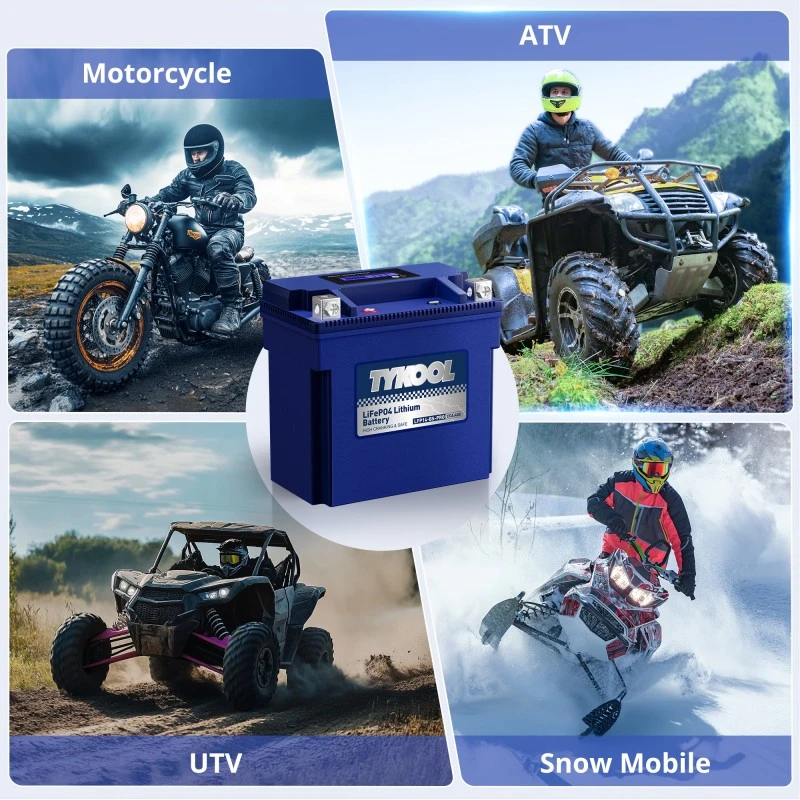 TYKOOL 2 Pack YTX14-BS-PRO 8Ah 480A LiFePO4 Battery for Snowmobile,Motorcycle, ATV, UTV, Scooter