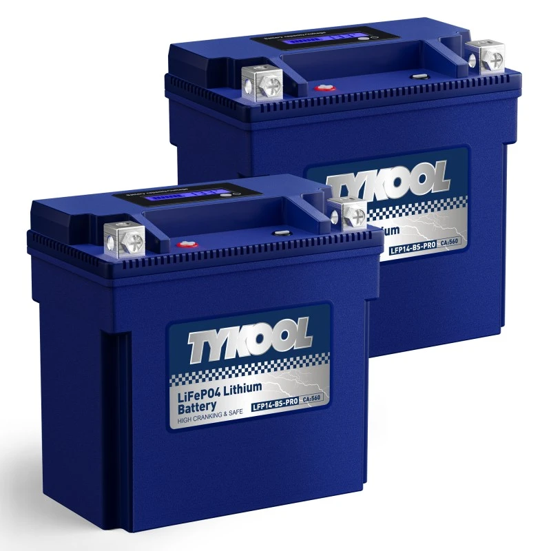 TYKOOL 2 Pack YTX14-BS-PRO 8Ah 480A LiFePO4 Battery for Snowmobile, Motorcycle,  ATV, UTV, Scooter